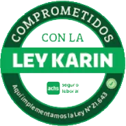 Ley Karin